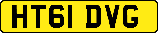 HT61DVG