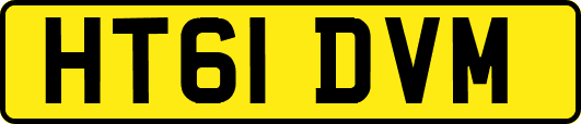 HT61DVM