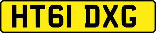 HT61DXG