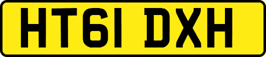 HT61DXH