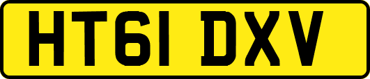HT61DXV
