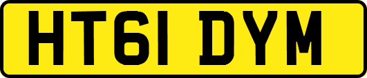 HT61DYM