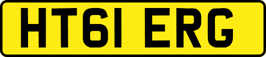 HT61ERG