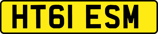 HT61ESM