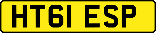 HT61ESP