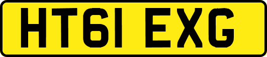 HT61EXG
