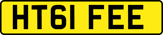 HT61FEE