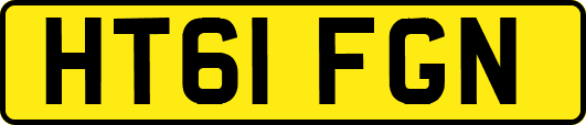 HT61FGN