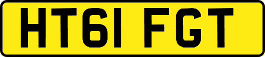 HT61FGT