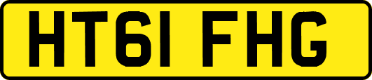 HT61FHG