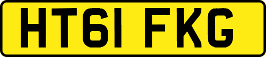 HT61FKG