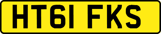 HT61FKS