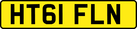HT61FLN