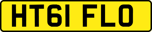 HT61FLO