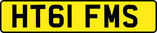 HT61FMS