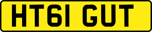 HT61GUT