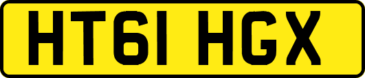 HT61HGX