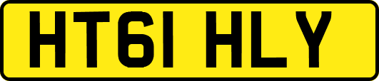 HT61HLY