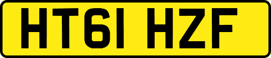 HT61HZF