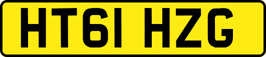 HT61HZG