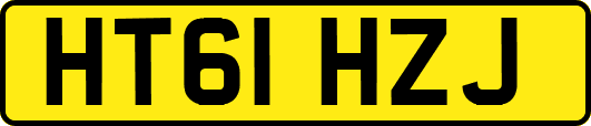 HT61HZJ