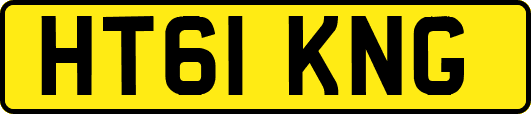 HT61KNG
