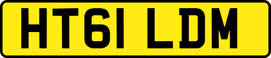 HT61LDM