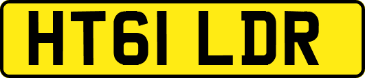 HT61LDR