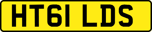 HT61LDS