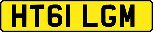 HT61LGM