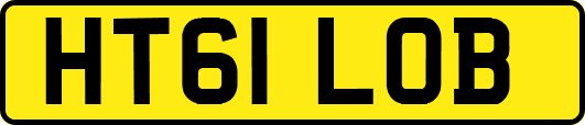 HT61LOB