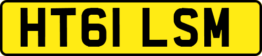 HT61LSM