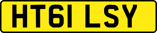 HT61LSY