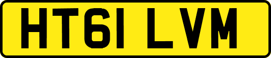 HT61LVM