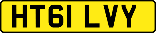 HT61LVY
