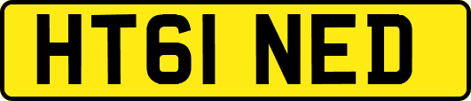 HT61NED
