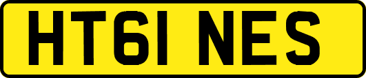 HT61NES