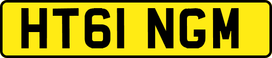 HT61NGM