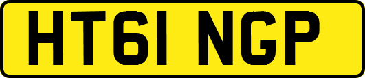 HT61NGP