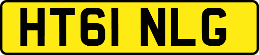 HT61NLG