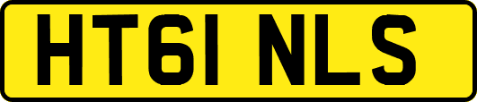 HT61NLS