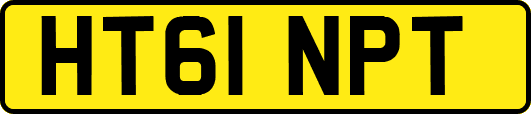 HT61NPT
