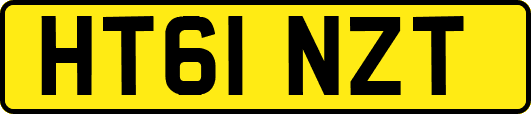 HT61NZT