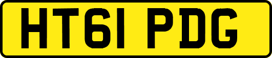 HT61PDG