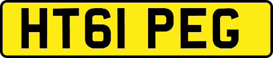 HT61PEG