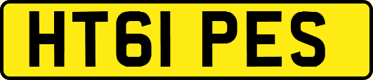 HT61PES