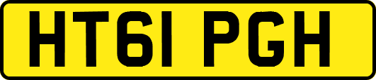 HT61PGH