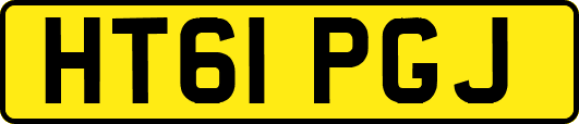HT61PGJ