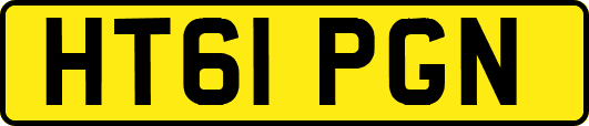 HT61PGN