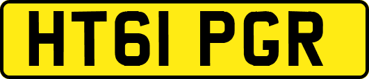 HT61PGR